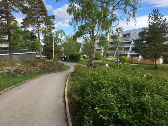 b61280_cd8fcfb3658a451fa75cda330dfcfb54~mv2